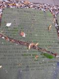 image of grave number 141293